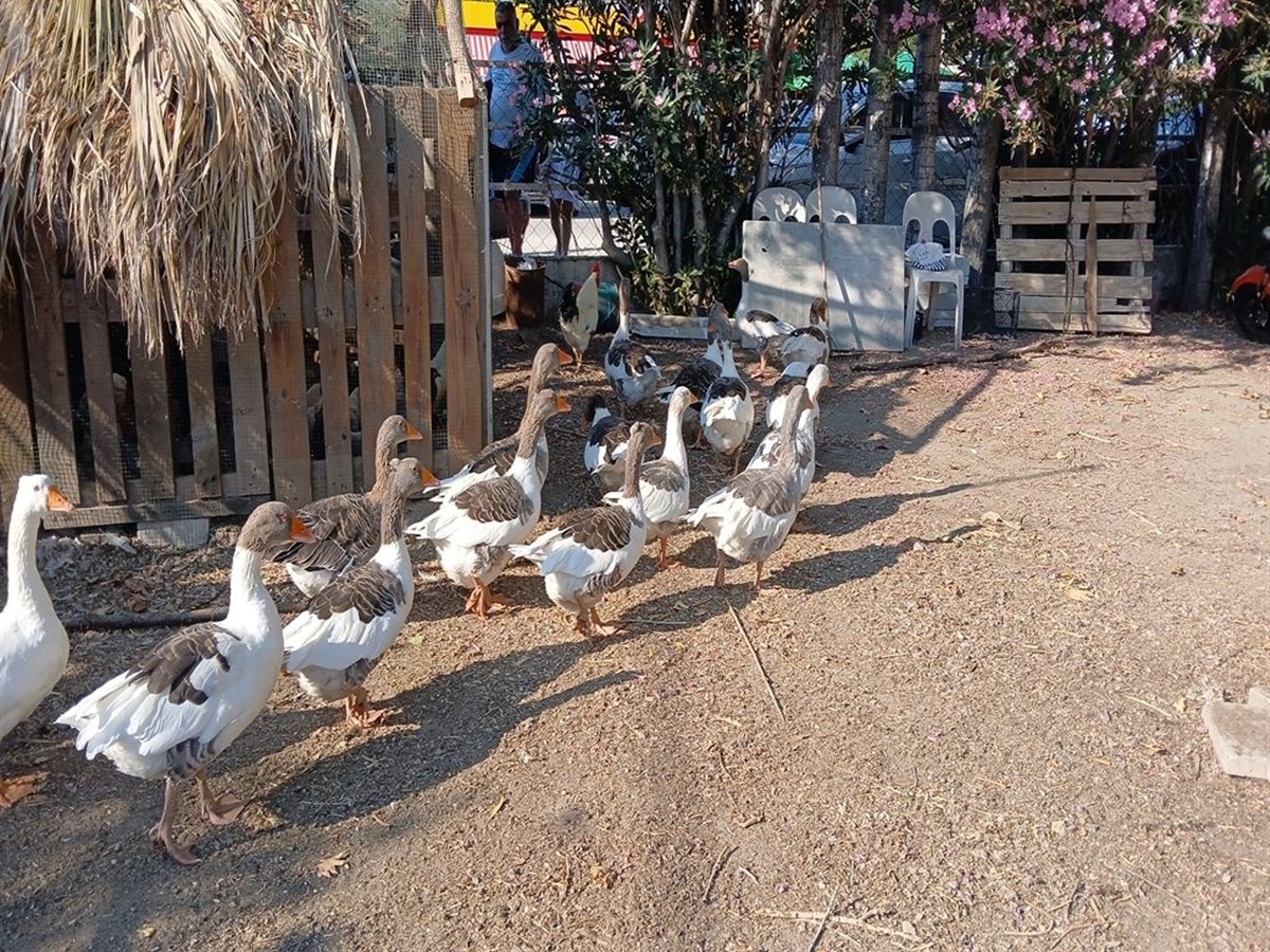 yB5qovQpPEWZIYzppzNz7A.jpg
