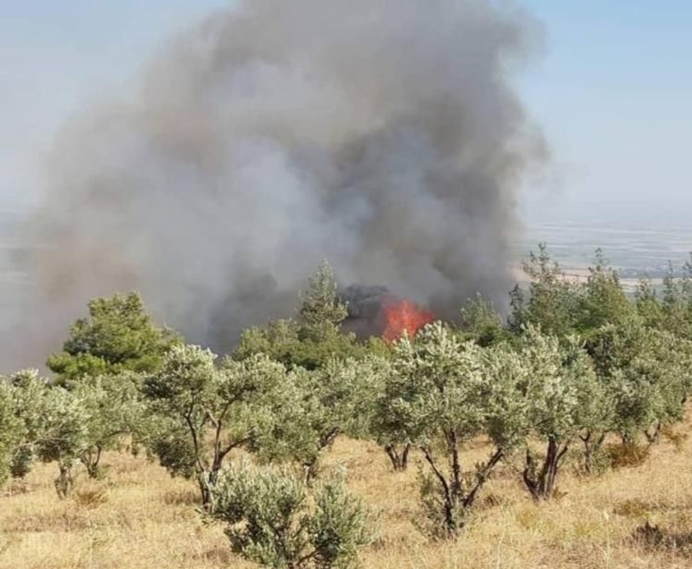 Hatay’da orman yangını: Havadan ve karadan müdahale ediliyor - 1