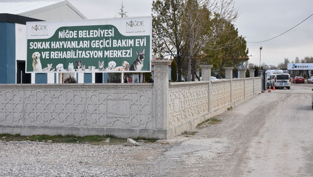Jandarma harekete geçti: Dövüştürülen 2 köpek barınaktan çalındı Jandarma harekete geçti: Dövüştürülen 2 köpek barınaktan çalındı