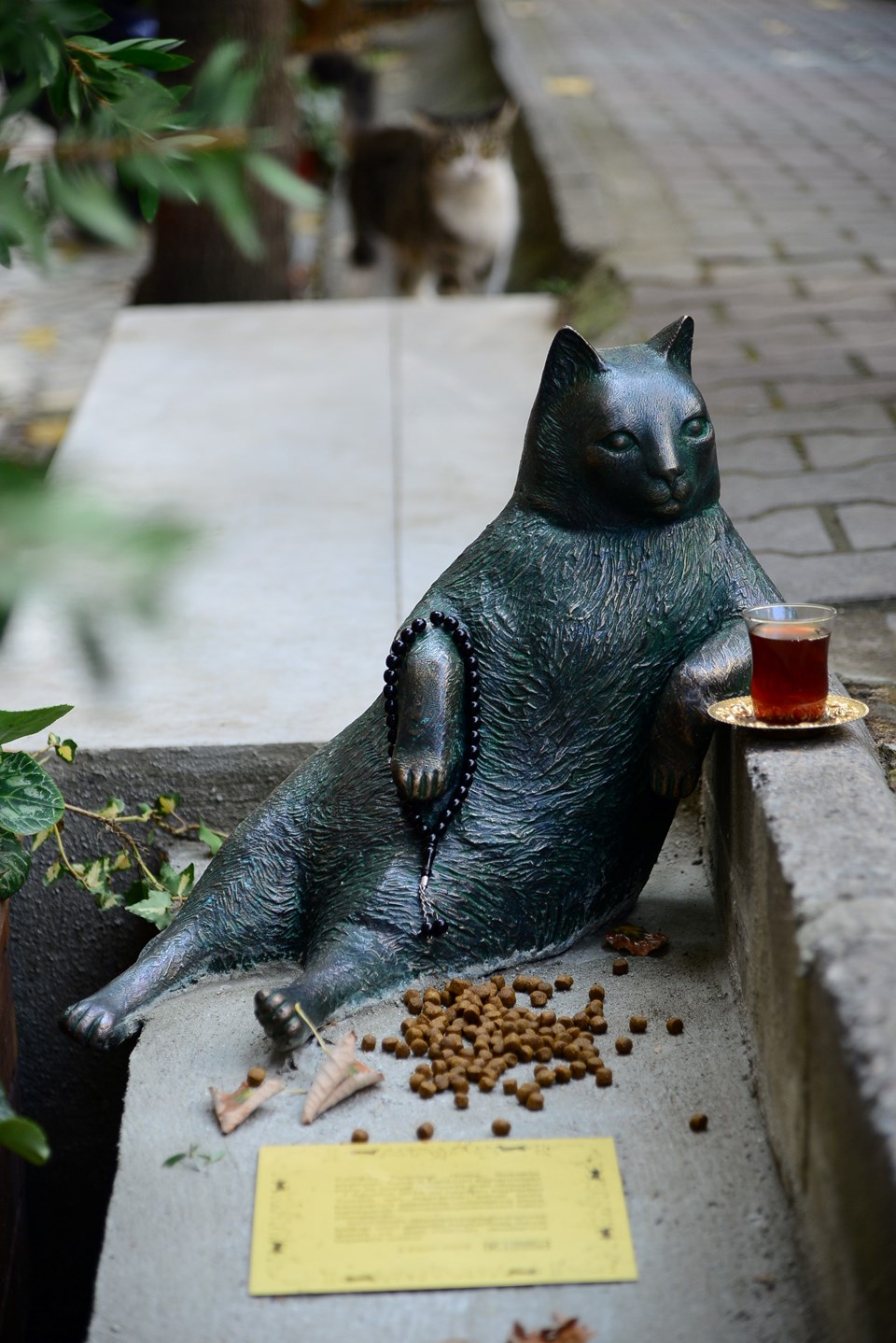 Kadıköy'ün kedisi 'tombili' heykeli açıldı - 1