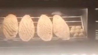 Mide bulandıran görüntü! Fırındaki fare kamerada