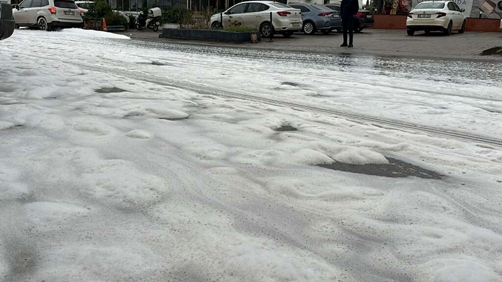 Bodrum'daki merak uyandıran köpüğün nedeni belli oldu - 2