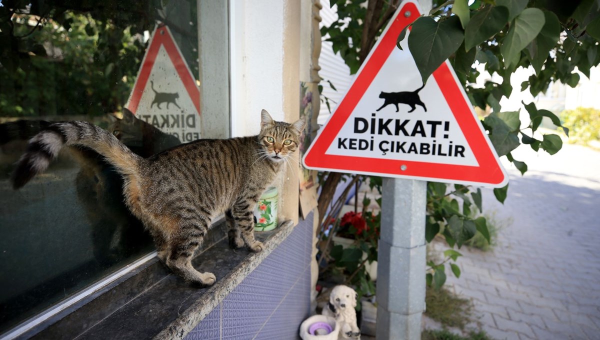 Kırklareli'nde sürücüler 'kedi-köpek çıkabilir' tabelalarıyla uyarılıyor