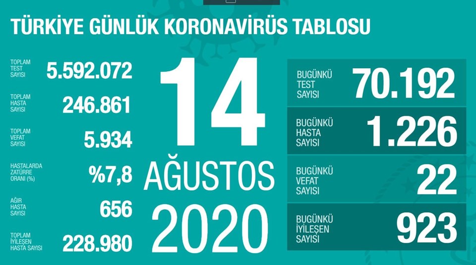 Türkiye'de corona virüsten son 24 saatte 22 can kaybı, bin 226 yeni vaka - 1