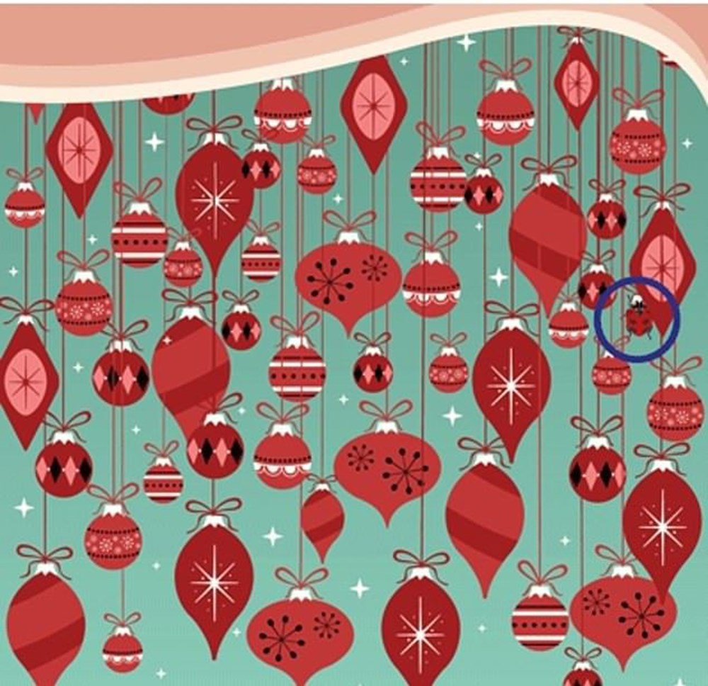 Bu görsel size kim olduğunuzu söylüyor: Resimde ilk önce hangi hayvanı gördünüz? - 99