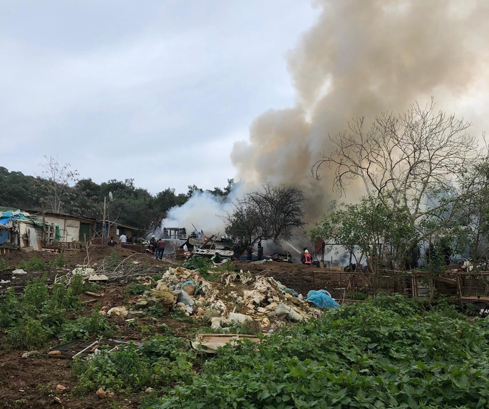 SON DAKİKA: Büyükada'da ahırlarda yangın - 2
