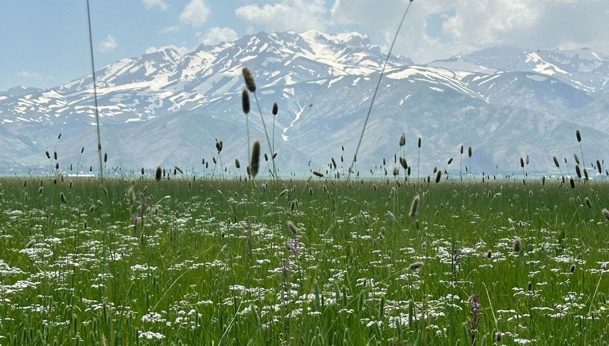 İki mevsim bir arada yaşanıyor! İki mevsim bir arada yaşanıyor!