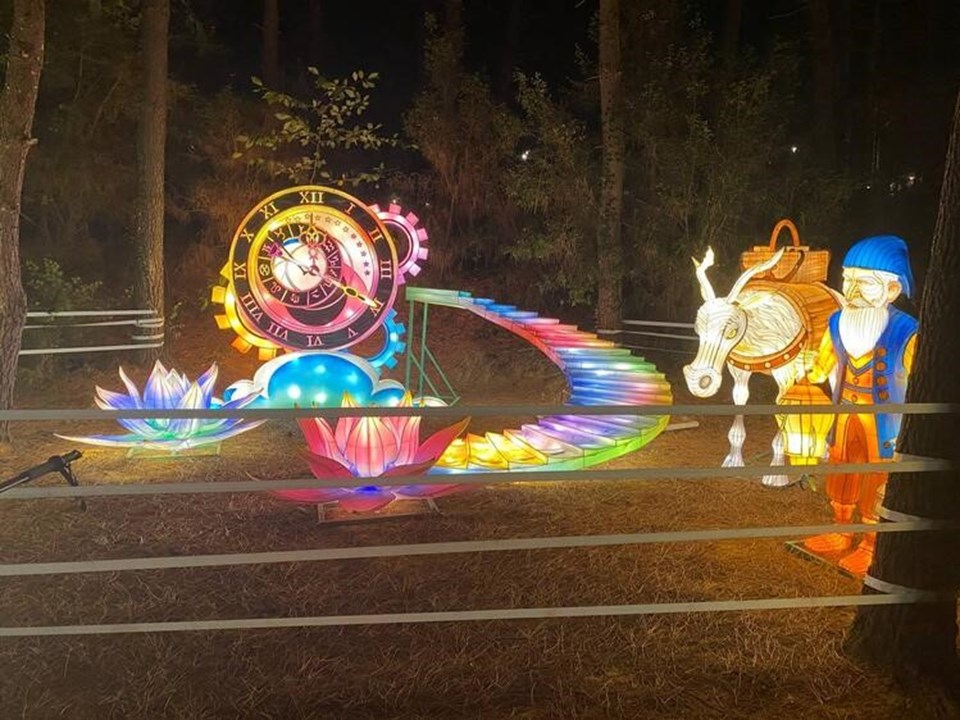 İstanbul'da "Ormanda Işık Festivali" başladı: Işık Festivali nerede? - 2