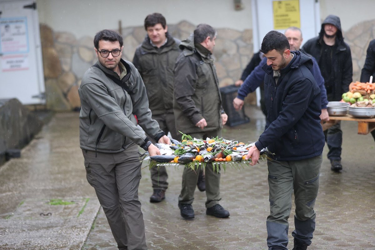 Yavru ayılara doğum günü sürprizi