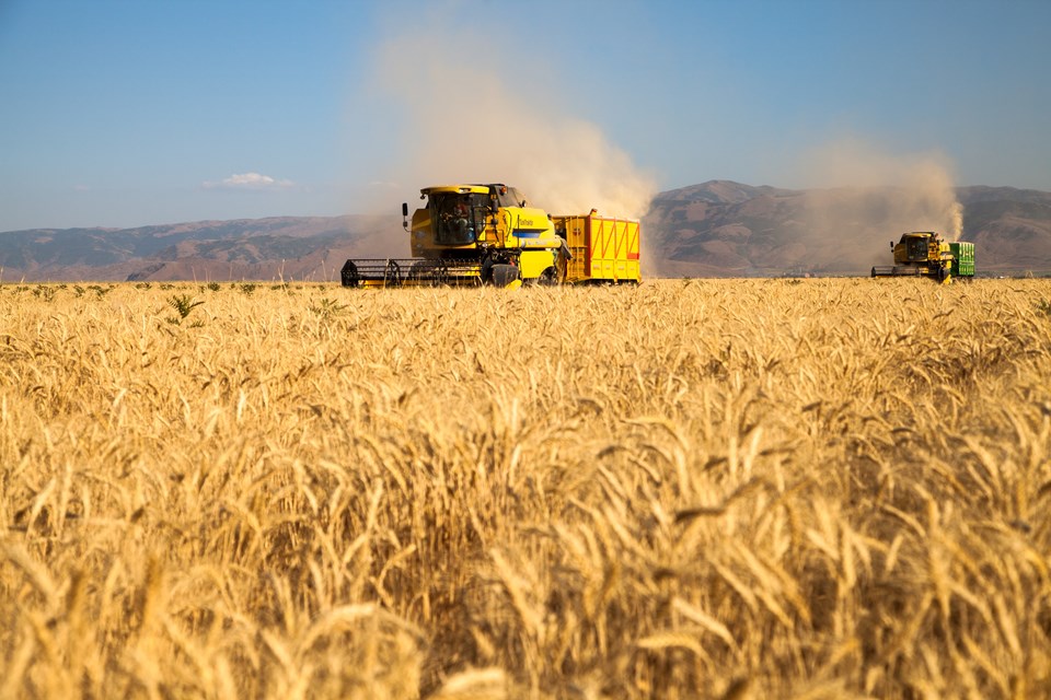 Ukrayna buğdayı nasıl çıkartılacak? - 1