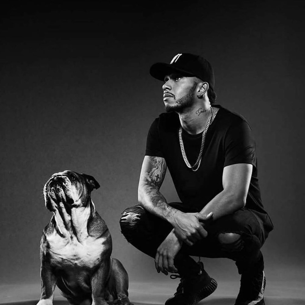 Formula 1 şampiyonu Lewis Hamilton: Köpeğim artık vegan - 1
