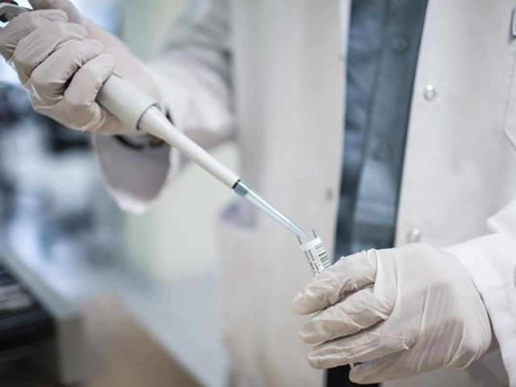 acik yaralara kurt tedavisi ile cozum