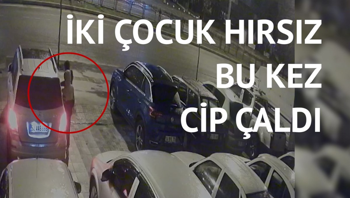 Ordu’da çaldıkları araçla İstanbul’da yakalanmışlardı