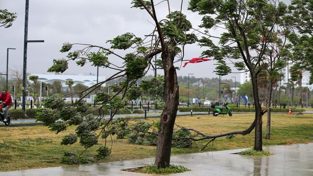 Yurdu fırtına vurdu: Antalya’da rüzgarın hızı 118 kilometreye ulaştı, İstanbul ve Ankara’da ağaçlar devrildi - 3