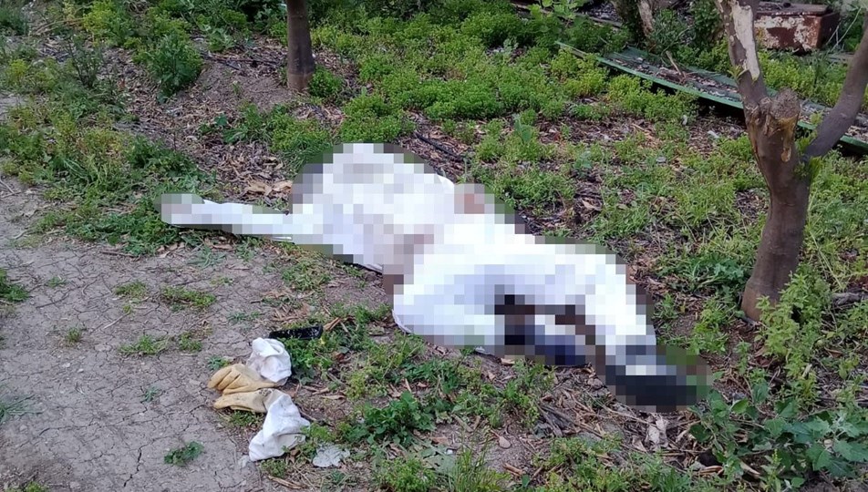 Parmağını arı sokan kişi öldü