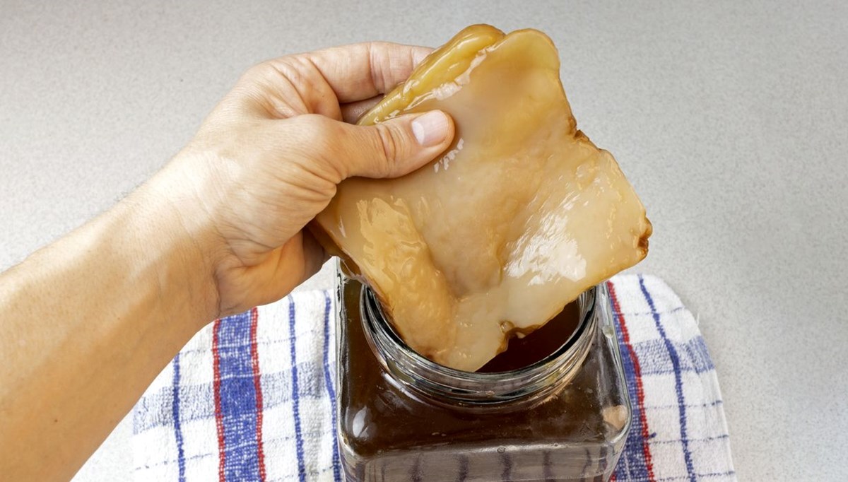 Bir bardağı bile beyindeki serotonin seviyelerini artırıyor: Canan Karatay'ın da tavsiyesi! Faydaları bilimsel olarak kanıtlandı