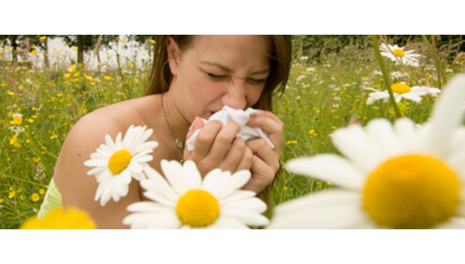 Народные средства от укусов насекомых