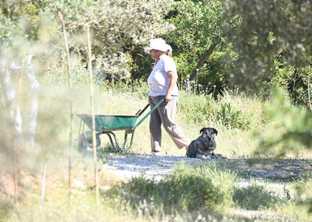 Özlem Tekin'in köy hayatı: Çiftliğini büyüttü - 5