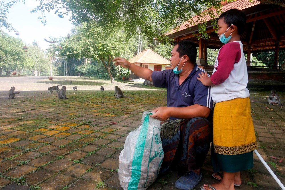 Maymunlar, turistler olmayınca Bali'de evleri yağmaladı - 4