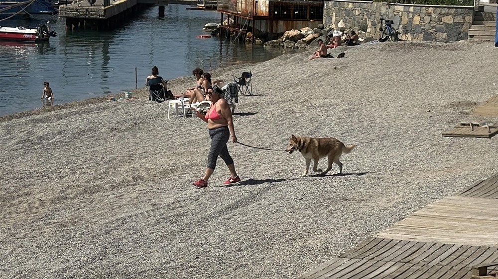 Bodrum'da Yaz Coşkusu: Sahiller Dolup Taşıyor 74 yWg6MXcmTE