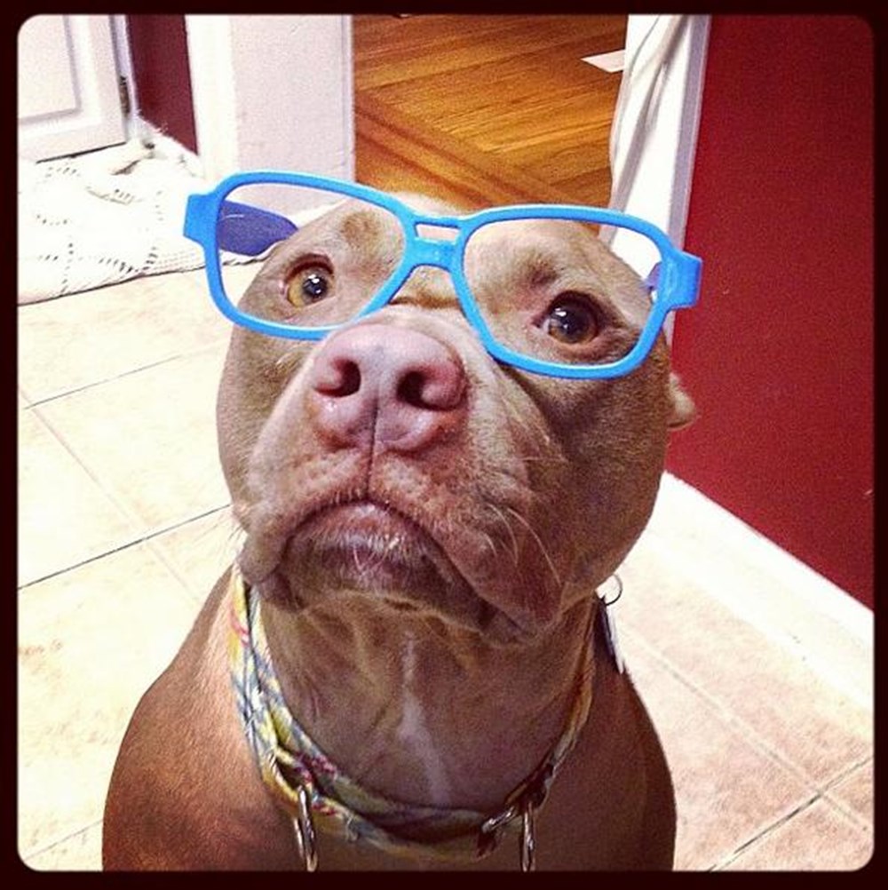 Классное смешное фото Классное смешное фото