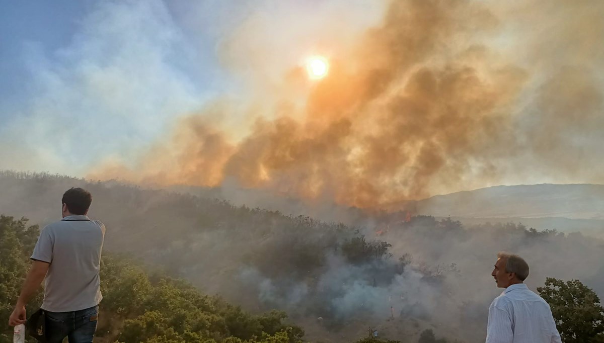 Bingöl'de ormanlık alanda yangın