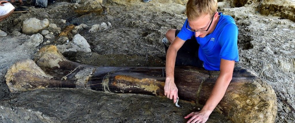 140 milyon yıllık dinozor kemiği bulundu