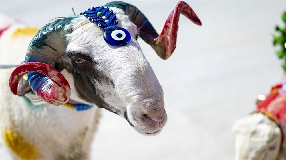 Emekli bayram ikramiyesi ödeme tarihleri 2025: Kurban Bayramı emekli ikramiyesi ne vakit yatacak? 75 yYZIcvUWgEKKCDfMDjOOQw