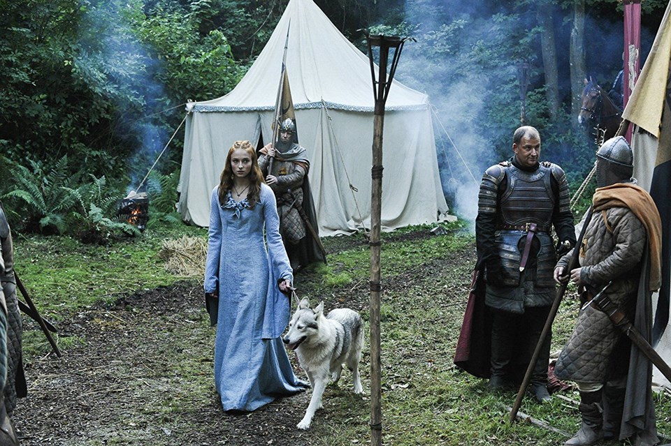 Sophie Turner, doğum gunu, Sophie Turner kimdir, Sophie Turner filmleri, Sansa Stark