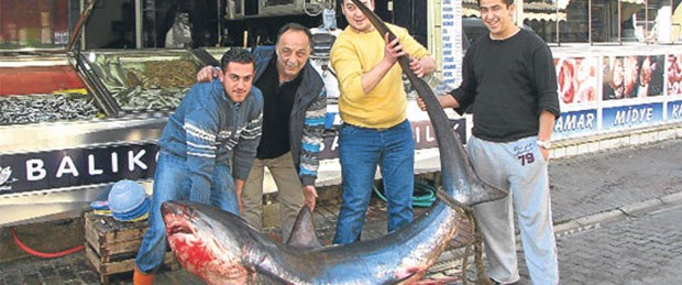 Ağlara 5.5 metrelik kamçıkuyruk takıldı