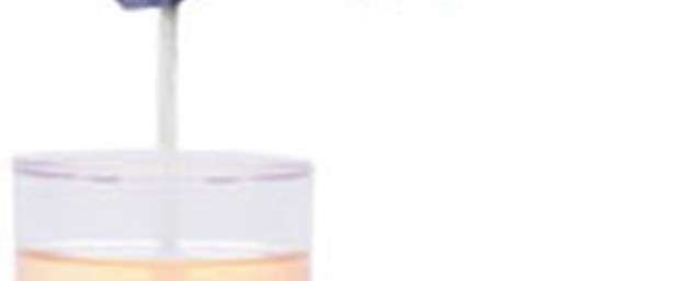 Anti-aging içmek