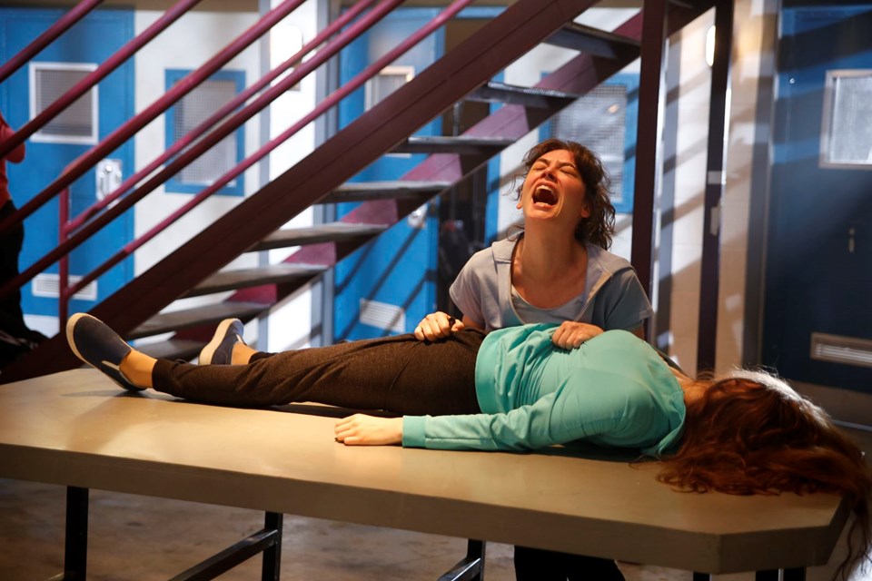 avlu, avlu test, avlu soruları, avlu yeni sezon