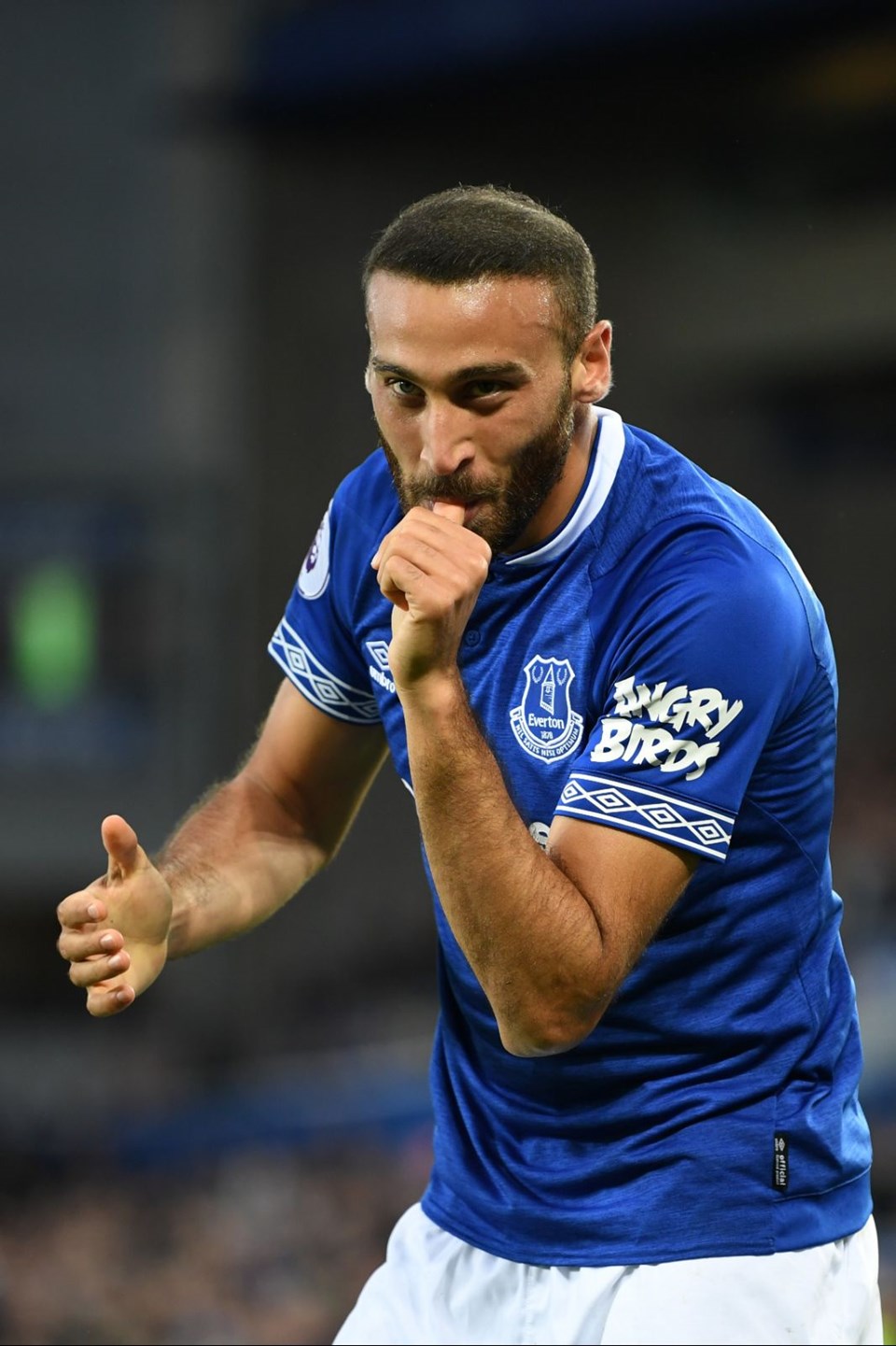Cenk Tosun, Arden Cenk, Ece Tosun, doğum,