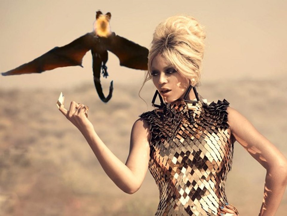 Haberin yayılmasının ardından sosyal medya kullanıcıları photoshop'ladıkları kareler sayesinde Beyonce'u Game of Thrones'un bir karakteri haline getirdi.