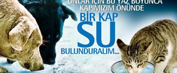 "Bir Kap Su" İçin Diyanet'ten yardım istediler