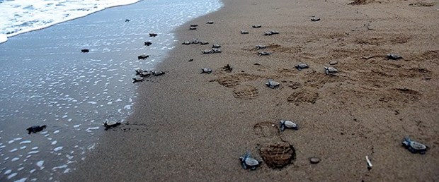 copyright_aabadoluajansi_2015_20150802123400.jpg