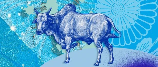 Çin astrolojisi, Astroloji, Fal, Burç, Kişilik, Kopek yılı