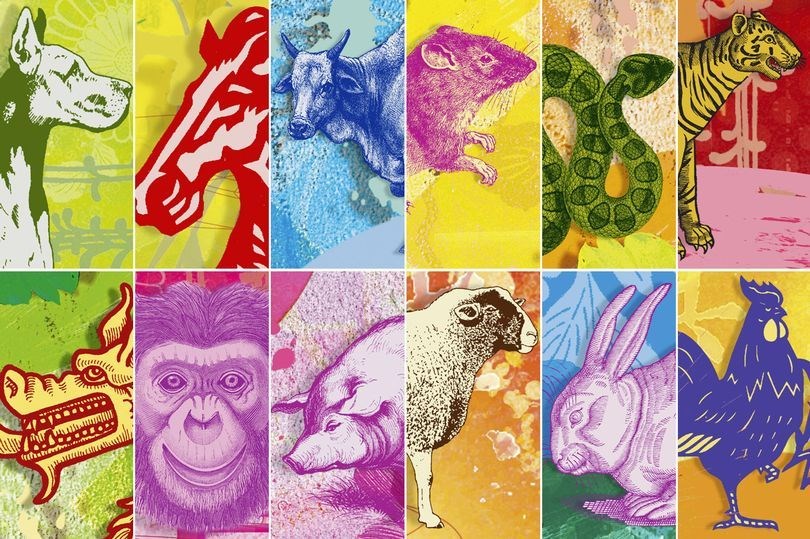 Çin astrolojisi, Astroloji, Fal, Burç, Kişilik, Kopek yılı