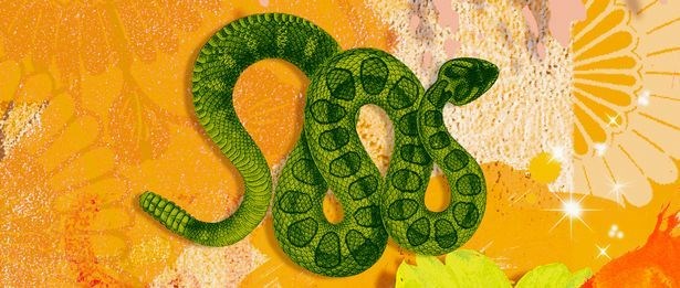 Çin astrolojisi, Astroloji, Fal, Burç, Kişilik, Kopek yılı