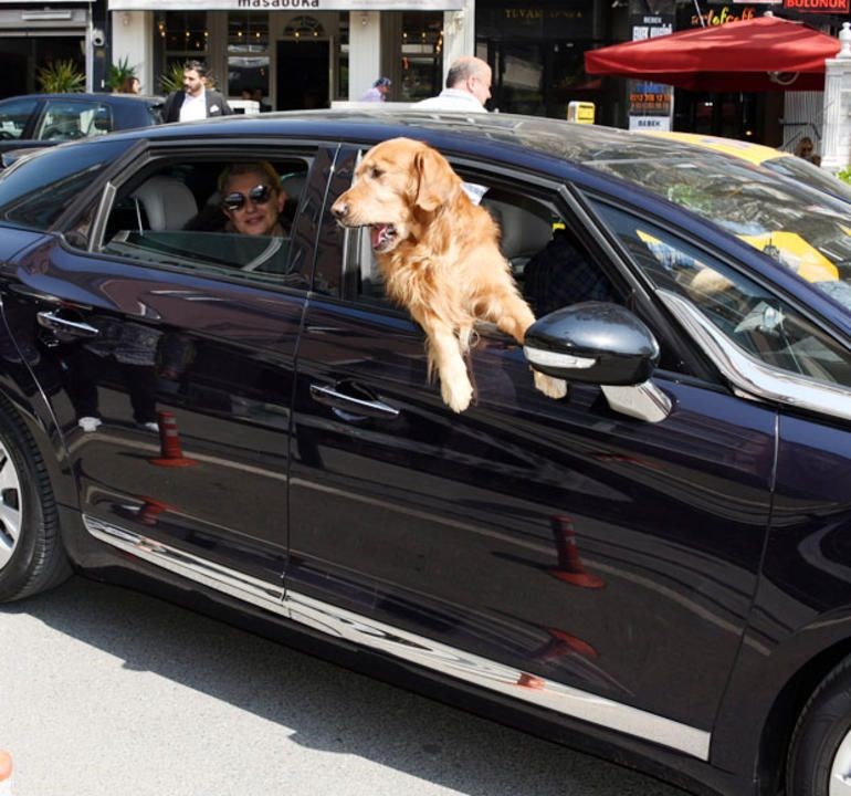 KÖPEĞİYLE BOĞAZ TURU