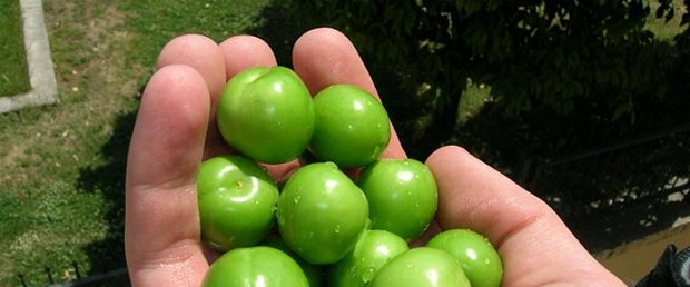 Eriğin kilosu 200 lira