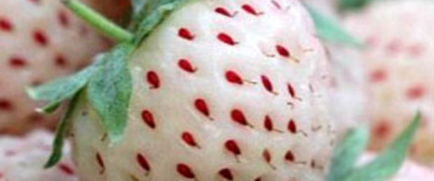 Görünümü çilek, tadı ananas