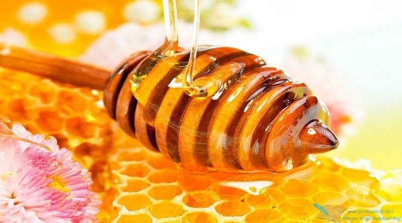 Hani şehirde ne yenir, hangi ilde ne yenir, hangi ilin neyi meşhur, meşhur yiyecekler