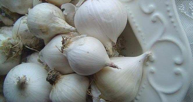 Hani şehirde ne yenir, hangi ilde ne yenir, hangi ilin neyi meşhur, meşhur yiyecekler