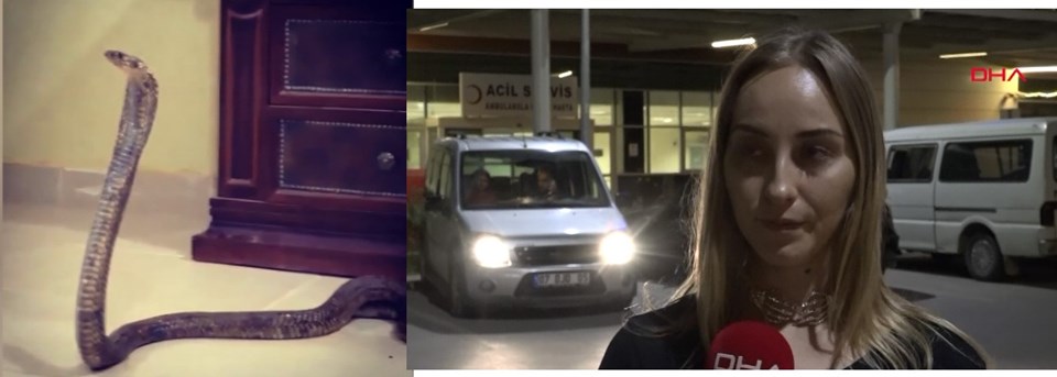 Aref Ghafouri'nin asistani Yana Vinter