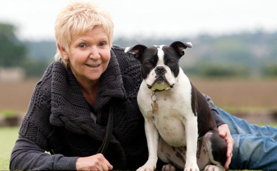 İki yaşında siyah-beyaz bir Boston Teriyeri olan sağır Zippy, sahibinden aldığı eğitimin ardından Kennel Club’ın itaatkarlık kategorisindeki en yüksek ödülü aldı