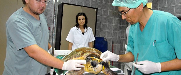 Kafatası kırıldı