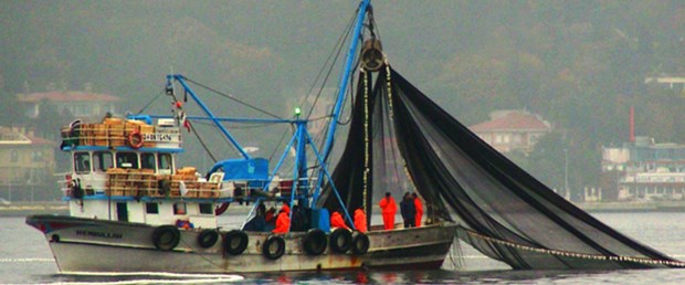 Karadeniz'de istavrit ve palamut bolluğu