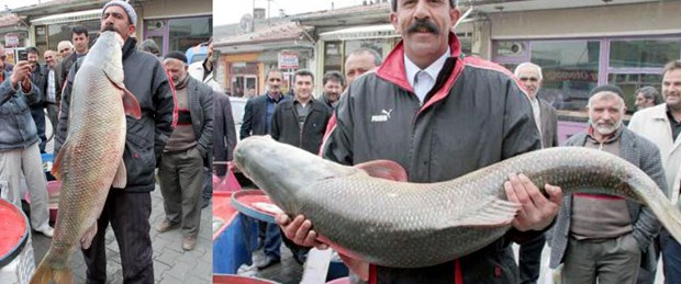 Kısmetine bu çıktı