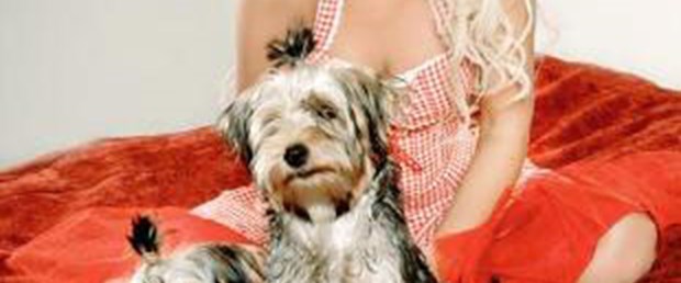 Köpekler annede kaldı